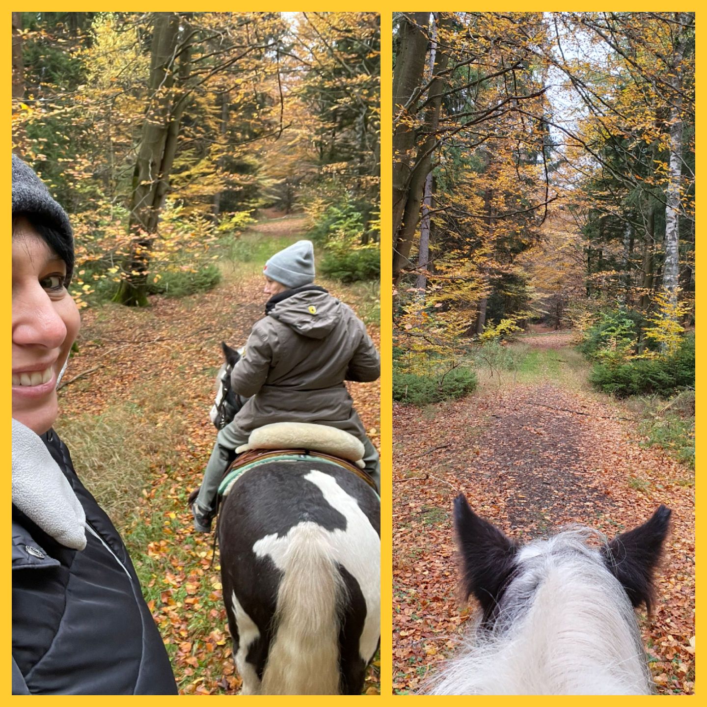 2023 11 November 588